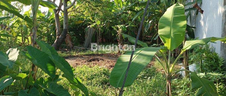 LAND FOR SALE JL SIULAN IN DENPASAR 1