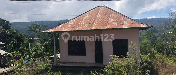 Di Jual Tanah Plus Bangunan Sederhana Di Jalan Raya Paketan Pinggan Veu Danau Batur Kintamani di Sunrise Pinggan Camping, Jalan Pinggan, Songan A, Kintamani, Bangli, Bali, Indonesia, 80652, Kintamani 1