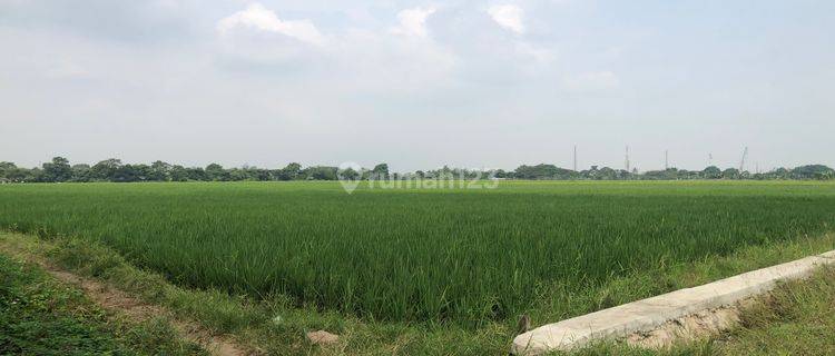 Tanah Murah Siap Bangun Lokasi Strategis Dekat Akses Tol Hadap Barat Di Kragilan Ciujung Serang Banten 1