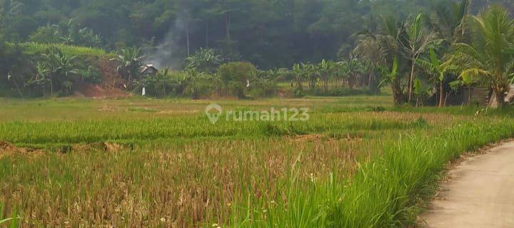 Tanah Murah Lokasi Strategis Cocok Untuk Perumahan Di Tigaraksa Tangerang 1