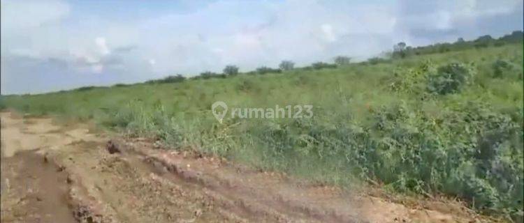 Dijual Tanah Luas 1500Ha di Muara Enim Palembang 1