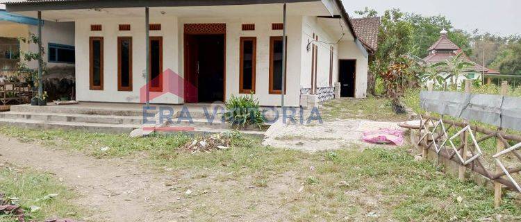 Rumah Daerah Tumpang Lahan Luas Dekat Museum Panji  1