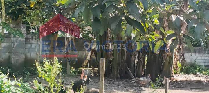 Dijual Tanah 15 Menit Ke Pusat Kota Blitar Area Ramai  1