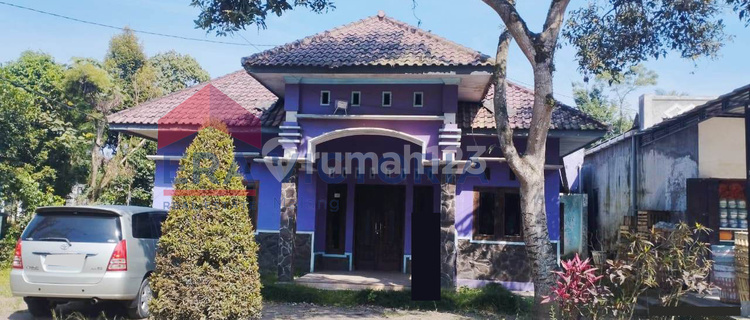 House in Poncokusumo Area, Comfortable Atmosphere, Close to Access Route to Bromo 1