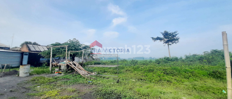 Tanah Kavling Murah Lokasi Strategis Akses Mudah Jombang  1
