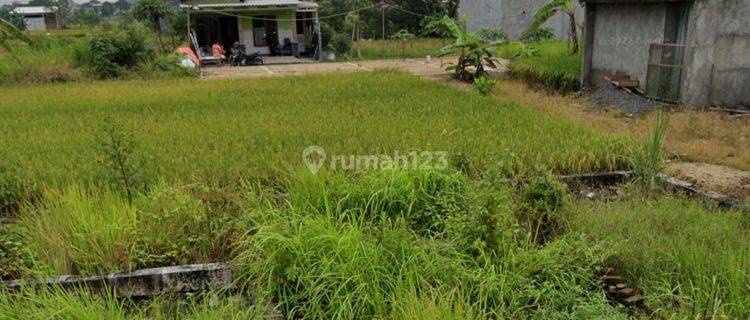 Dijual Tanah Kosong Menganti Krajan Gresik 11x12 1