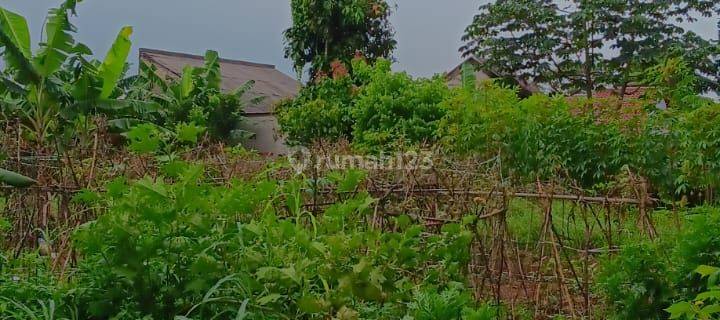Kavling Cocok untuk Kost atau Rumah Kecil di Babakan Setu, Tangerang Selatan 1