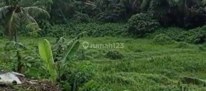 Dijual Tanah Dibawah Harga Njop Di Lokasi Strategis Di Curug Agung Beji Depok 1