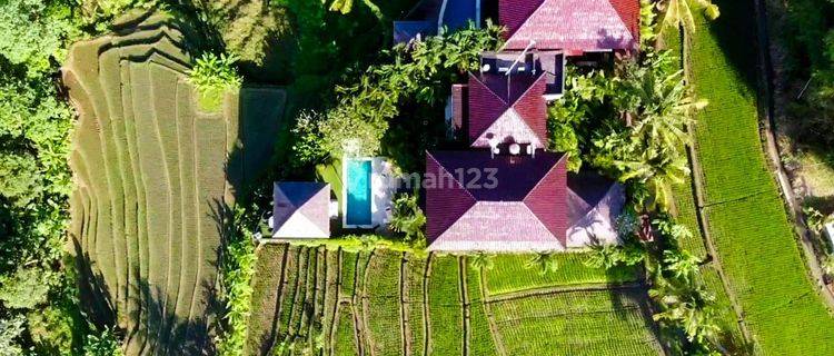 2 Storey Villa  For Sale With Rice Field View In Tabanan  1