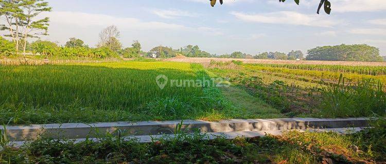 Rumah Murah Tapi Ga Murahan di Tirtomartani 1