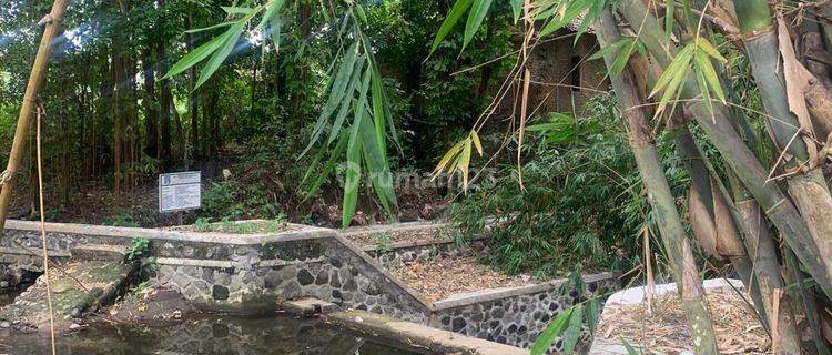 Rumah Minimalis Pesan Bangun di Ngaglik, Sleman 1