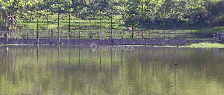 Tanah Dan Situ Cilutung di Mainroad Samarang Garut 1