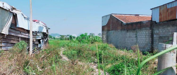 Tanah Padat Jl Peuris Cibisoro Margaasih Cocok Untuk Gudang 1