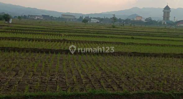 Disewakan Tanah Sawah di Gading Tutuka Soreang 1