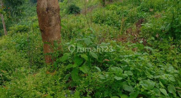 TANAH MATANG DI GARUT COCOK BANGUN TEMPAT WISATA ATAU VILLA 1