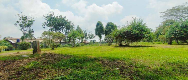Tanah Di Puncak 1