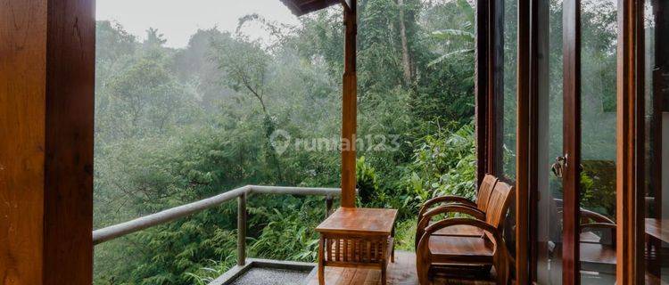 Villa Luas Dengan View Menawan Pegunungan Dan Sungai 1