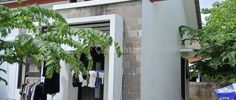 Rumah Minimalis Satu Lantai Dalam Komplek Perumahan Di Ungasan 1