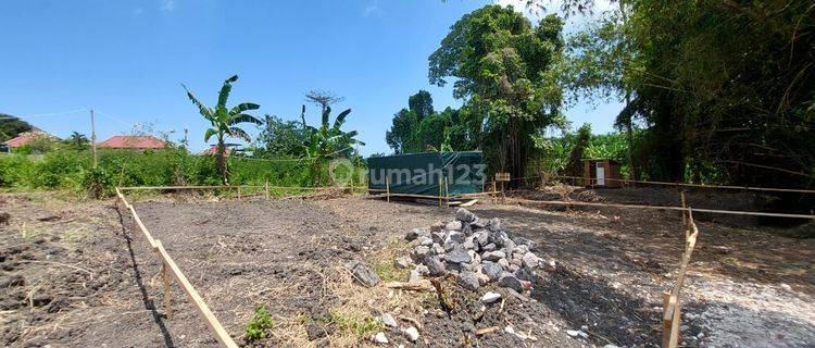 Land in Pererenan, Badung SHM 193 m² 1