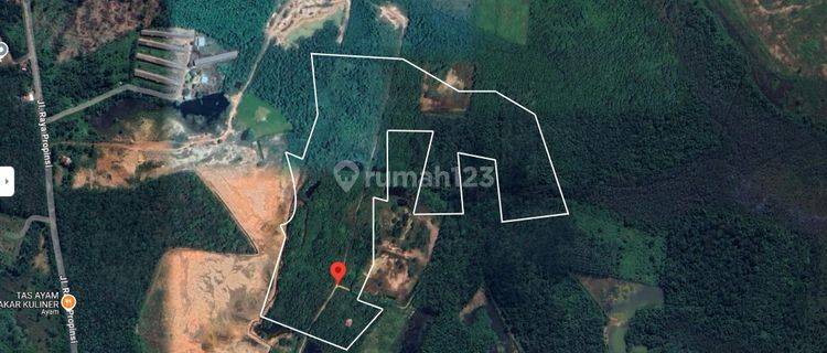 Tanah 15 ha Cocok utk usaha di Banyuasin, Sumatera Selatan 1