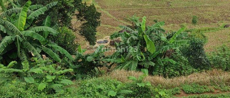 Dijual Tanah Luas di Kawasan Agrowisata Bantar Agung, Majalengka 1