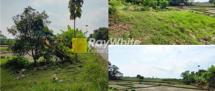 Jual Tanah Sawah Produktif Di Leuweunggede Jatiwangi 1