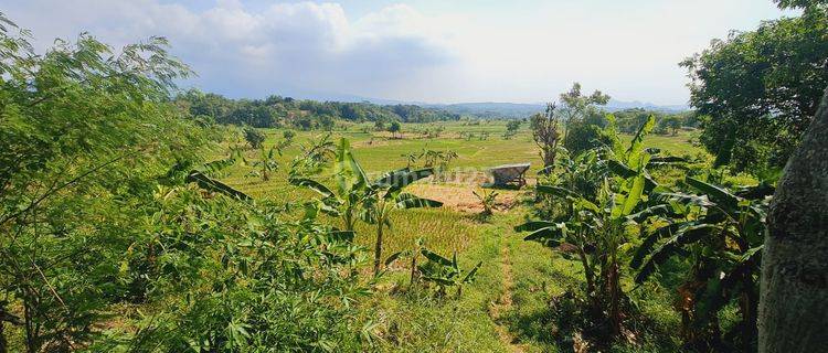 Tanah Kosong di Jalur Utama Area Beber, Cirebon 1