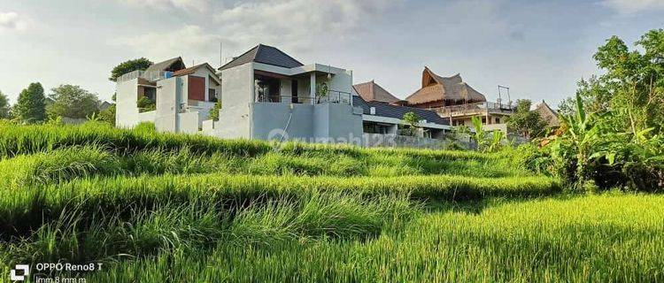 Dijual Tanah Los Sungai Dan View Sawah di Kawasan Silungan Ubud Bali.  1