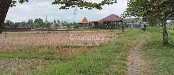 Dijual Tanah Kosong View Sawah Dan Laut di Pantai Kelating 1