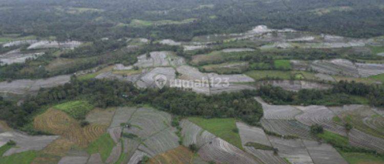 Vacant land for sale On the edge of the main road In front of the paddy field & Mount Batu Karu 1