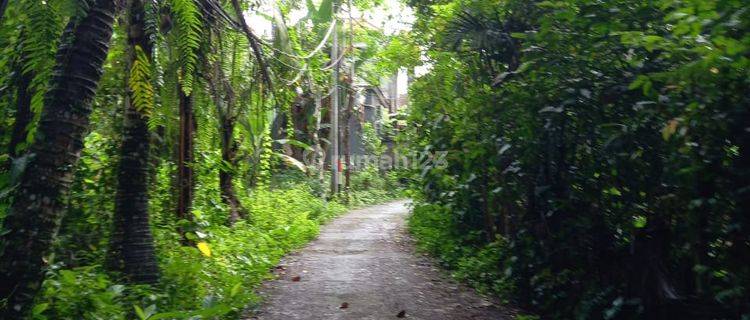 land for sale in Banjar Umadawa 1