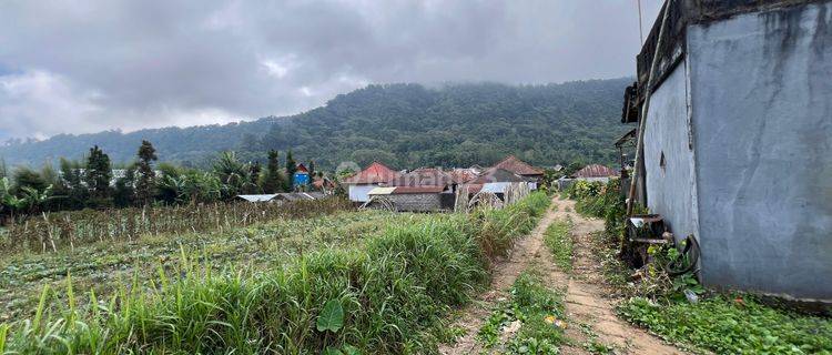 Dijual tanah view danau lokasi bedugul pancasari 1