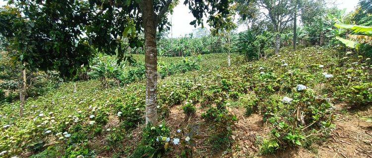 Land for sale with view of Singaraja Lovina Beach 1