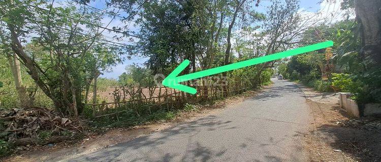 Di Jual Tanah 45 Are Area Jln Gunung Payung Desa Kutuh Kec Kuta Selatan 1