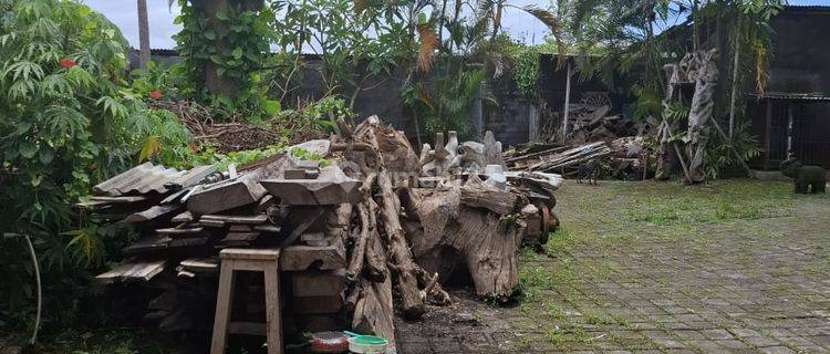 Free hold land, in Kerobokan 1