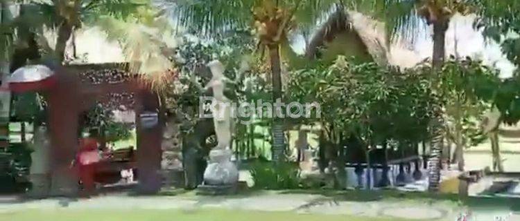 TANAH DENGAN LOKASI SANGAT BAGUS DI UBUD 1