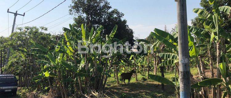 Lahan Bagus Di Sempidi Badung Bali 1