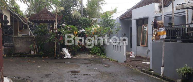 RUMAH SEDERHANA LINGKUNGAN SEJUK DI DAERAH PARIWISATA ALAS KEDATON KEDIRI 1