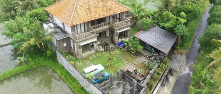 Hot List Di Jual Luxury Villa View Sawah Lokasi Pering Blahbatuh Ubud Gianyar 1