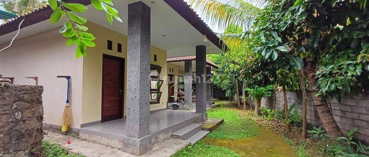 Hot List For Sale Guesthouse Location North Kemenuh Sukawati Gianyar 1