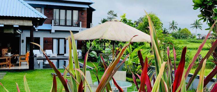 Hot List Di Jual Villa Luxury View Sawah Lokasi Taro Tegalalang Ubud Gianyar  1