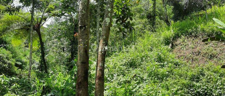 Hot List Di Jual Tanah Los Sungai Bonus Air Terjun Di Dalamnya Lokasi Payangan Ubud Gianyar 1