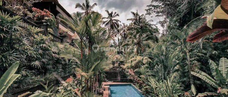 Hot List Di Jual Villa Luxury View Sawah Lokasi Tegalalang Ubud Gianyar 1