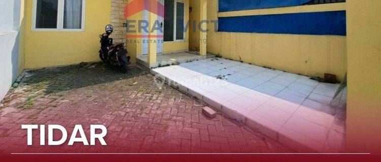 Disewakan Rumah Hanya 30jt An Aja Daerah Tidar 1