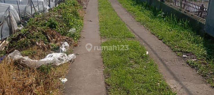 TOP DEAL DI JUAL TANAH VIEW DANAU LOKASI CANDI KUNING BEDUGUL TABANAN
 1