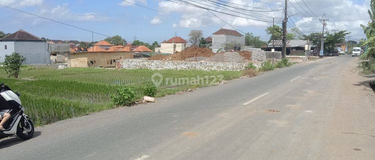 PASTI DEAL DI JUAL TANAH LOKASI BERINGKIT GADON MENGWITANI MENGWI BADUNG 1