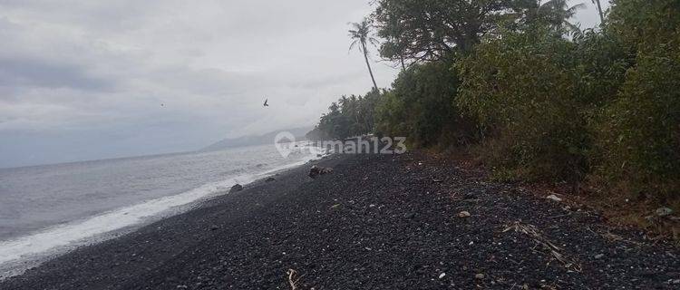 PASTI DEAL DI JUAL TANAH LOSS PANTAI VIEW LAUT LOKASI RUBAYE TULAMBEN KARANGASEM 1