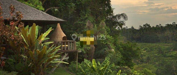 PASTI DEAL DI JUAL VILLA LOKASI SAYAN UBUD GIANYAR  1