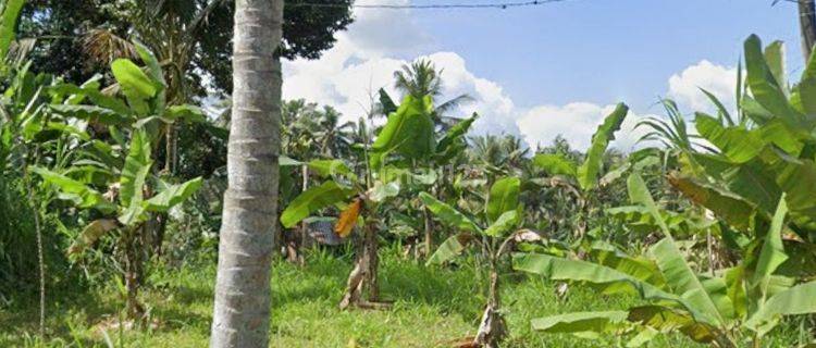 PASTI CLOSING DI SEWAKAN TANAH LOSS SUNGA PINGGIR JALAN LOKASI PEJENG - TAMPAK SIRING UBUD GIANYAR 1