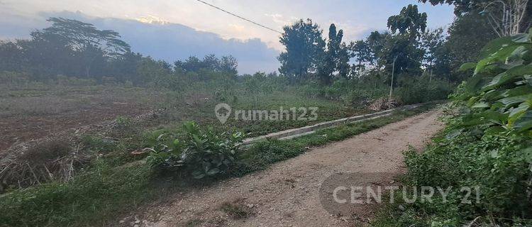 Tanah Strategis Dekat Kantor PemdaAlunalun Gunung Kidul 1